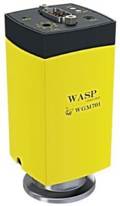WGM701 Wasp-Kaltkathoden-Umkehrmagnetron/Pirani-Vakuummeter, DN40KF-Flansch